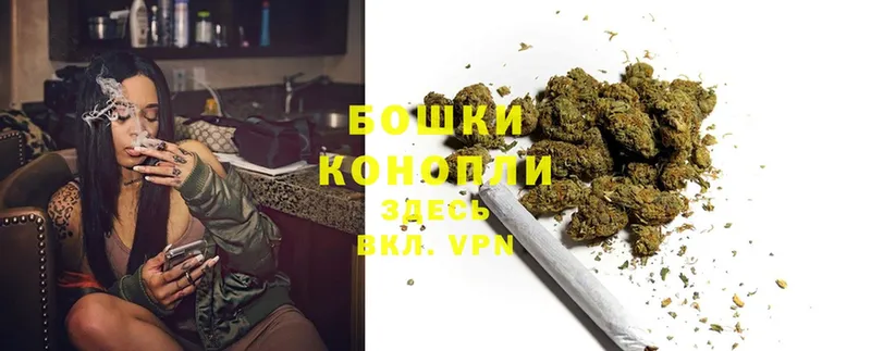 где продают наркотики  Мирный  Канабис THC 21% 